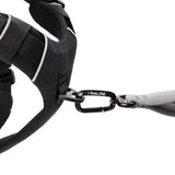 Daily Roam Dog Harness