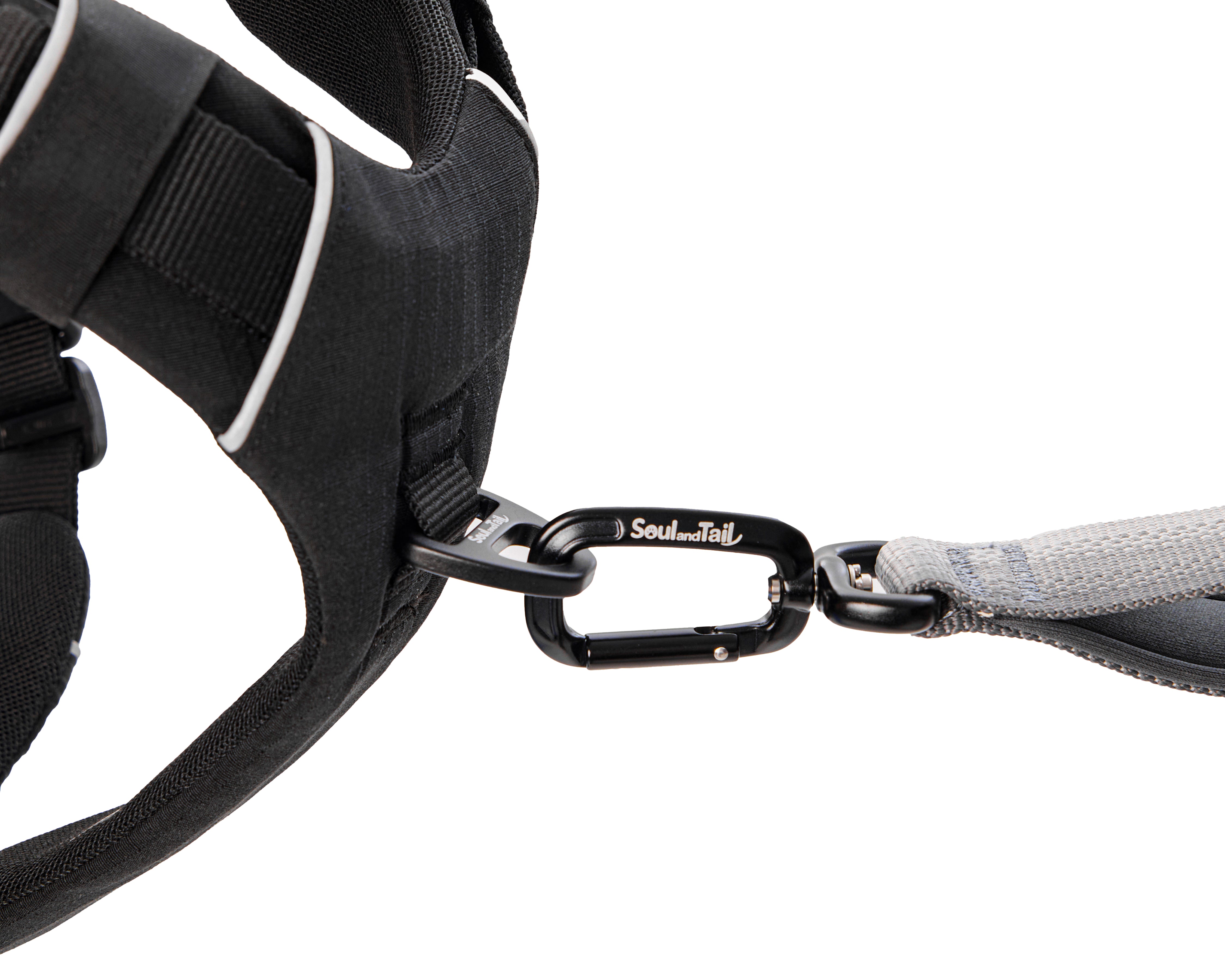 Daily Roam Dog Harness