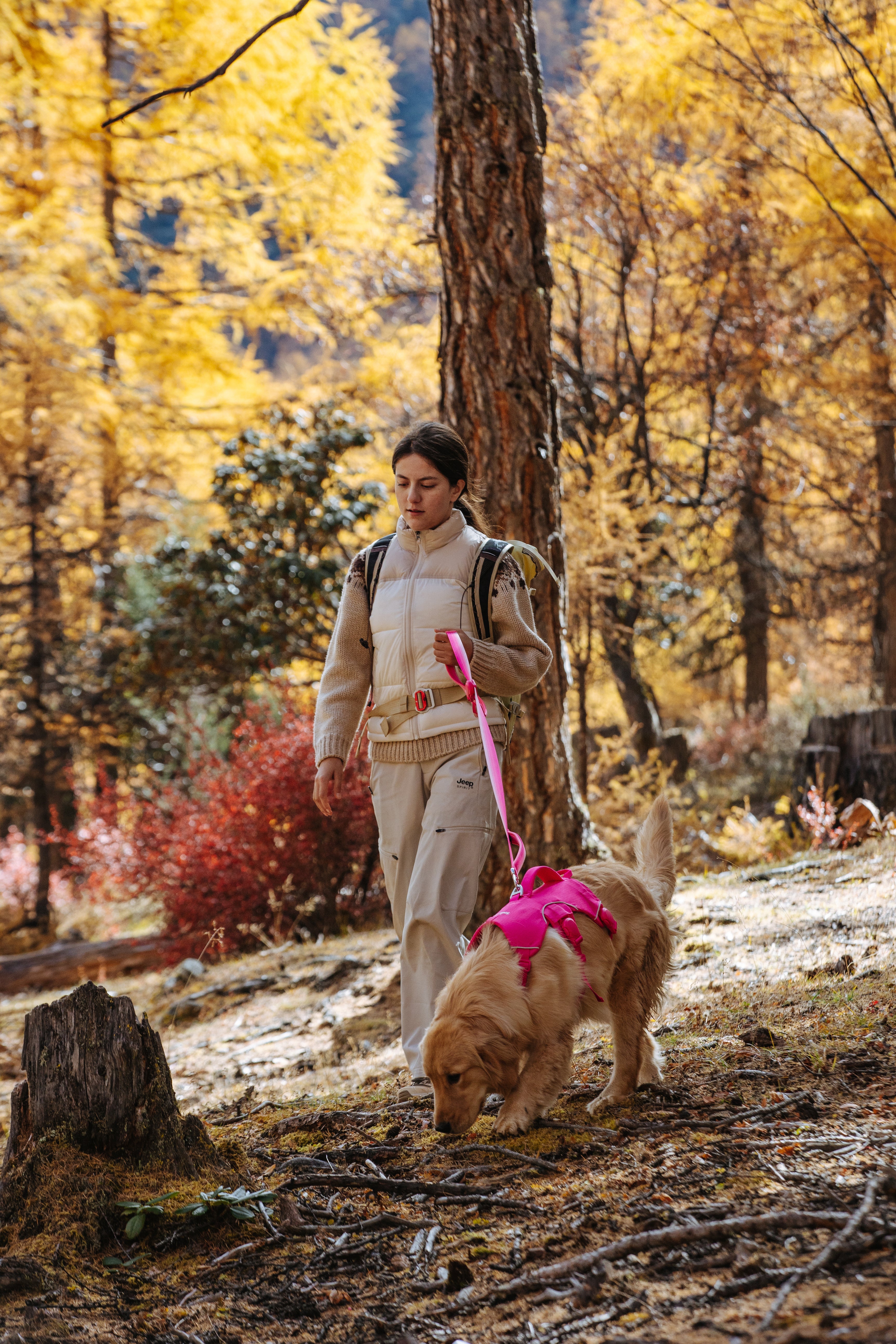 Woman walking a dog in a forest, using a color-matched pink dog leash and harness, with autumn foliage