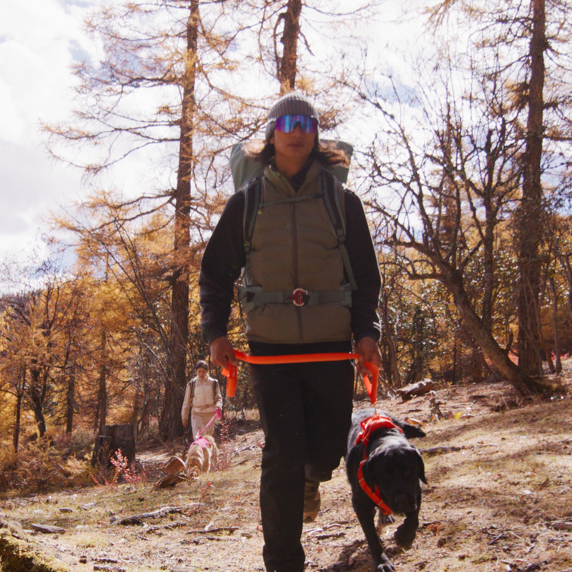 Person hiking with a dog wearing orange harness in a forest during autumn, with a dog wearing pink harness in the back walking with a woman