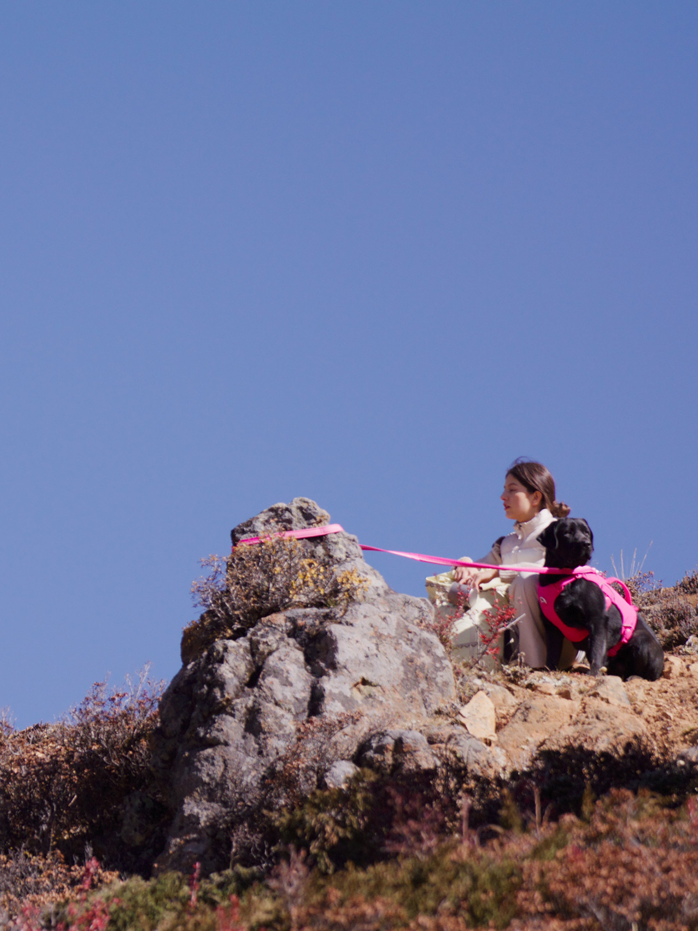 A woman sitting with a dog on a leash tied on a rocky outcrop against a clear blue sky