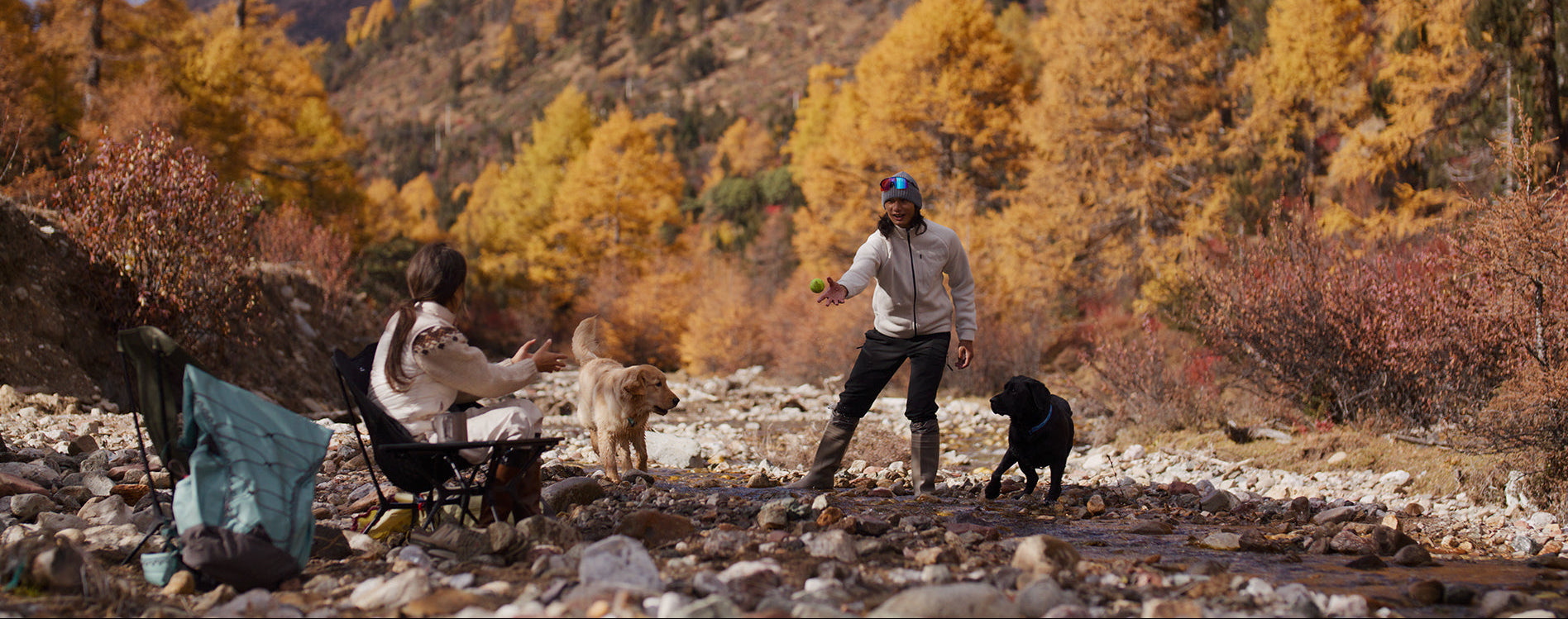 Two people with dogs in a mountainous area with autumn foliage.