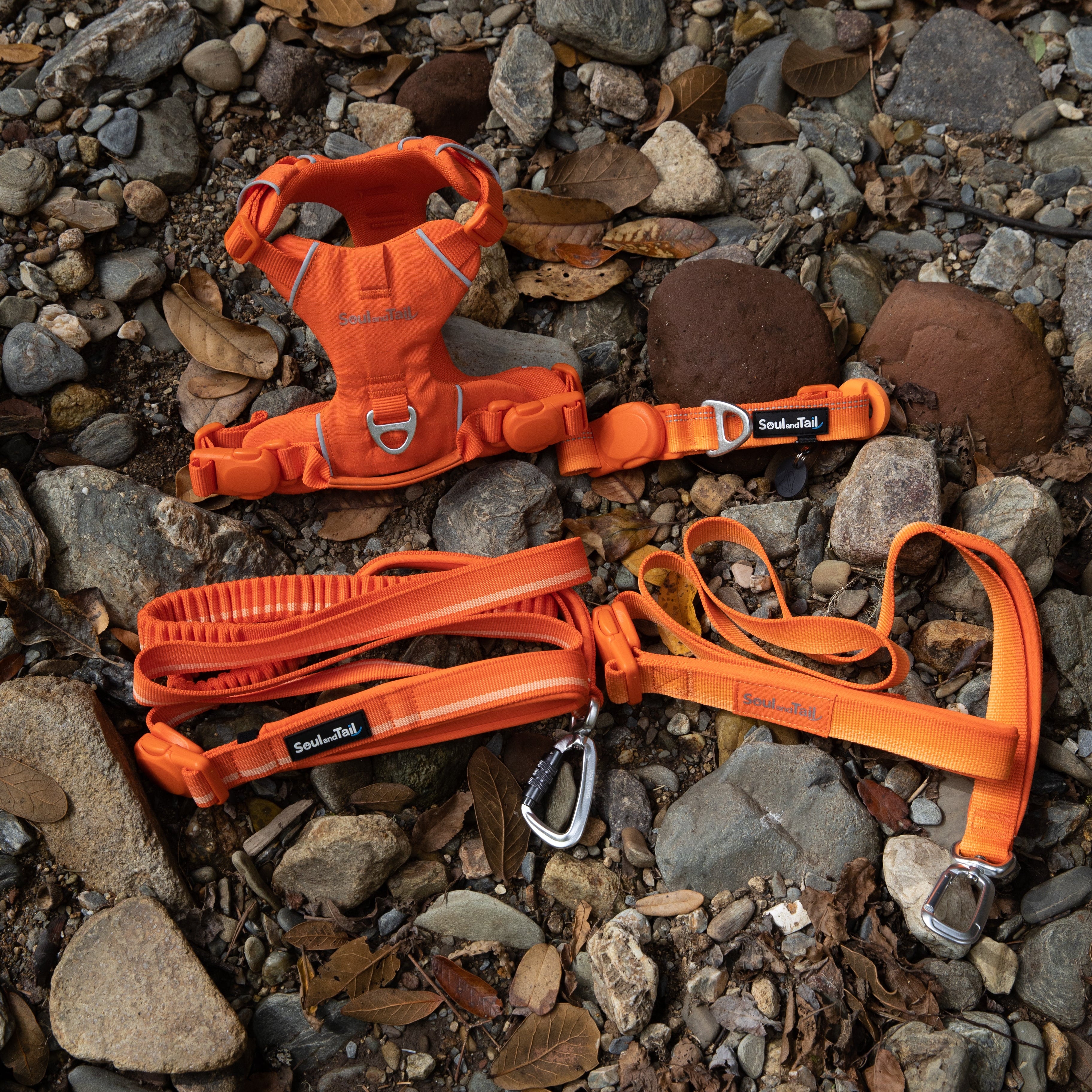 Orange dog harness and leash set on a rocky ground