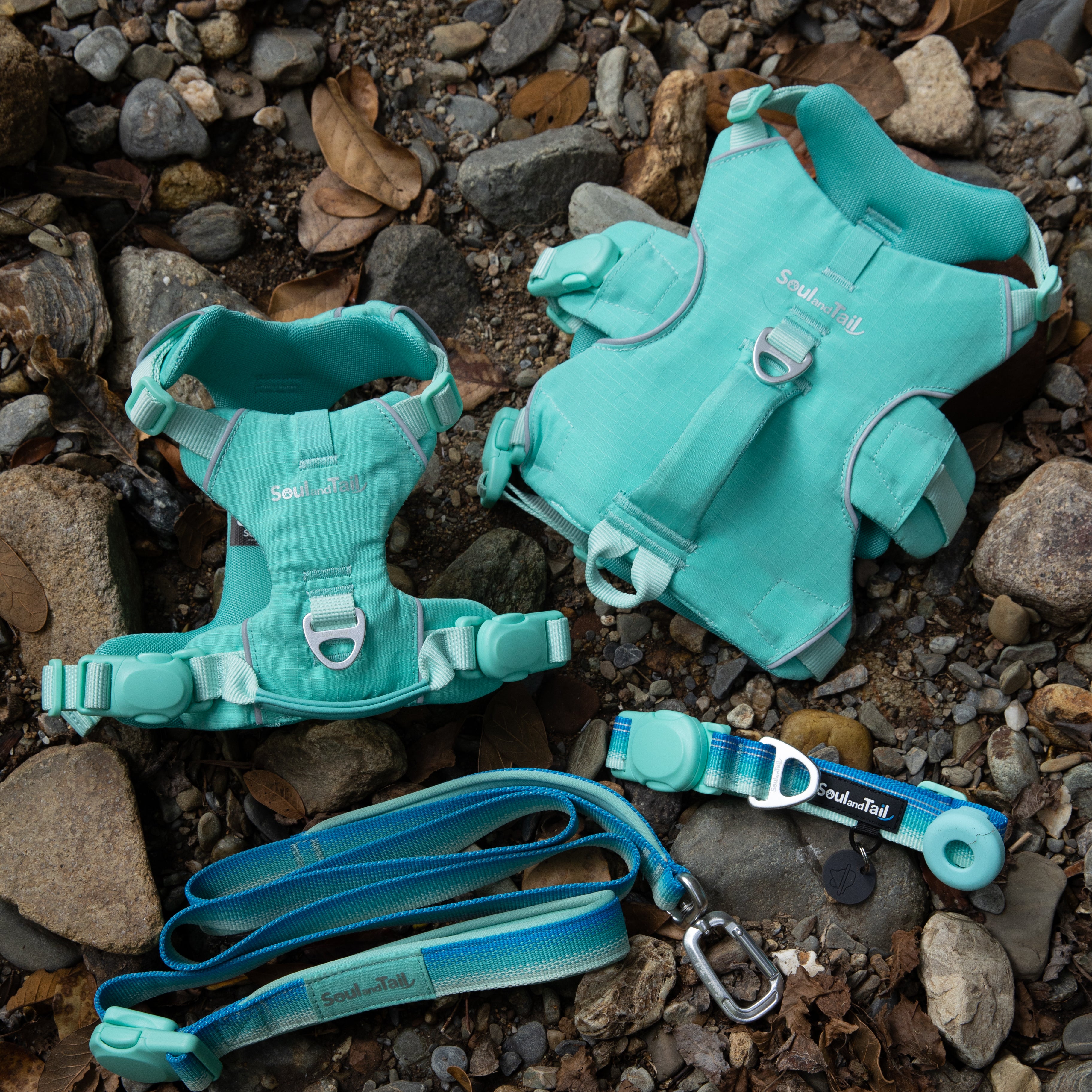 Turquoise dog harness and leash set on a rocky ground