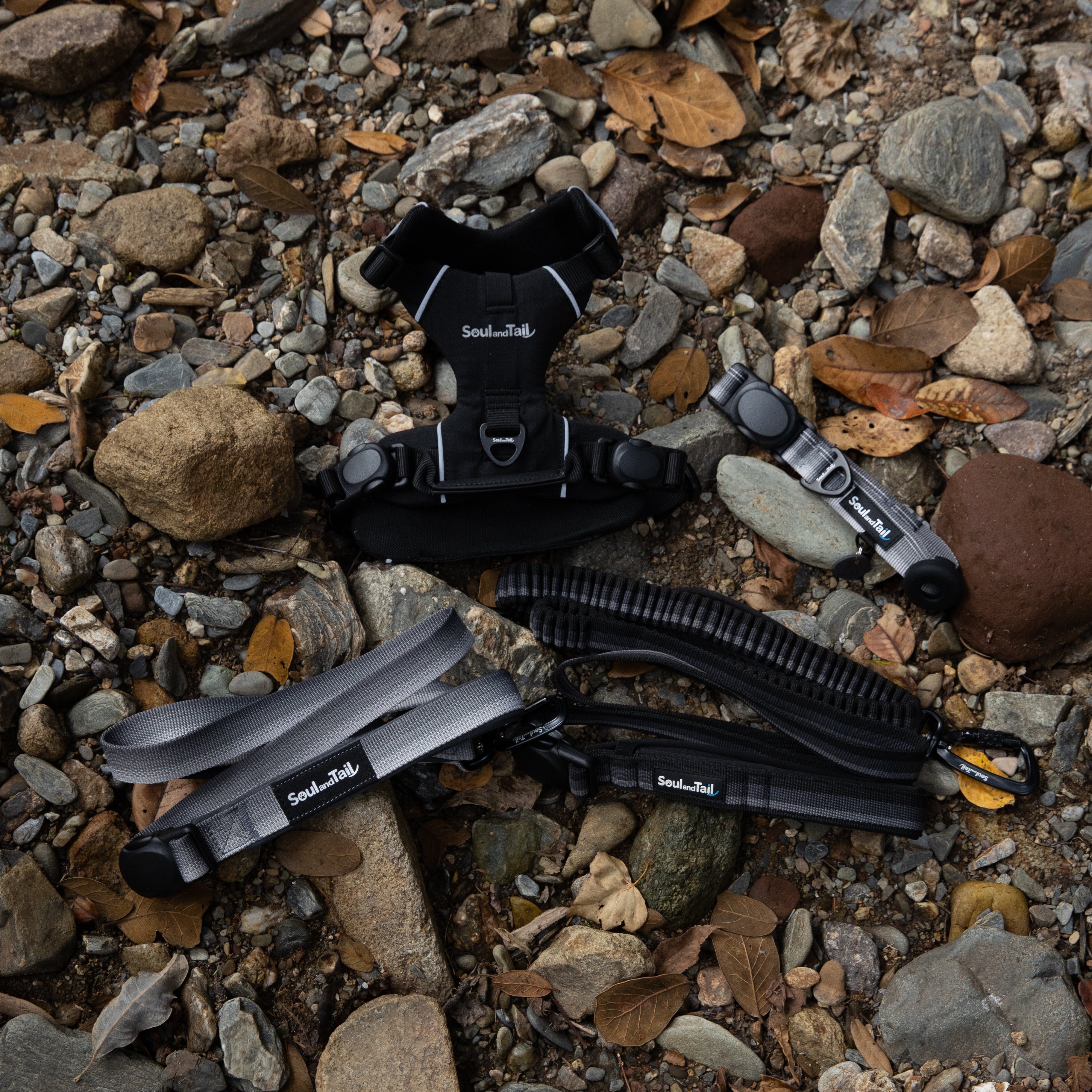 A set of black and gray Soul and Tail dog gears including a collar, a harness, and two leashes on a rocky surface
