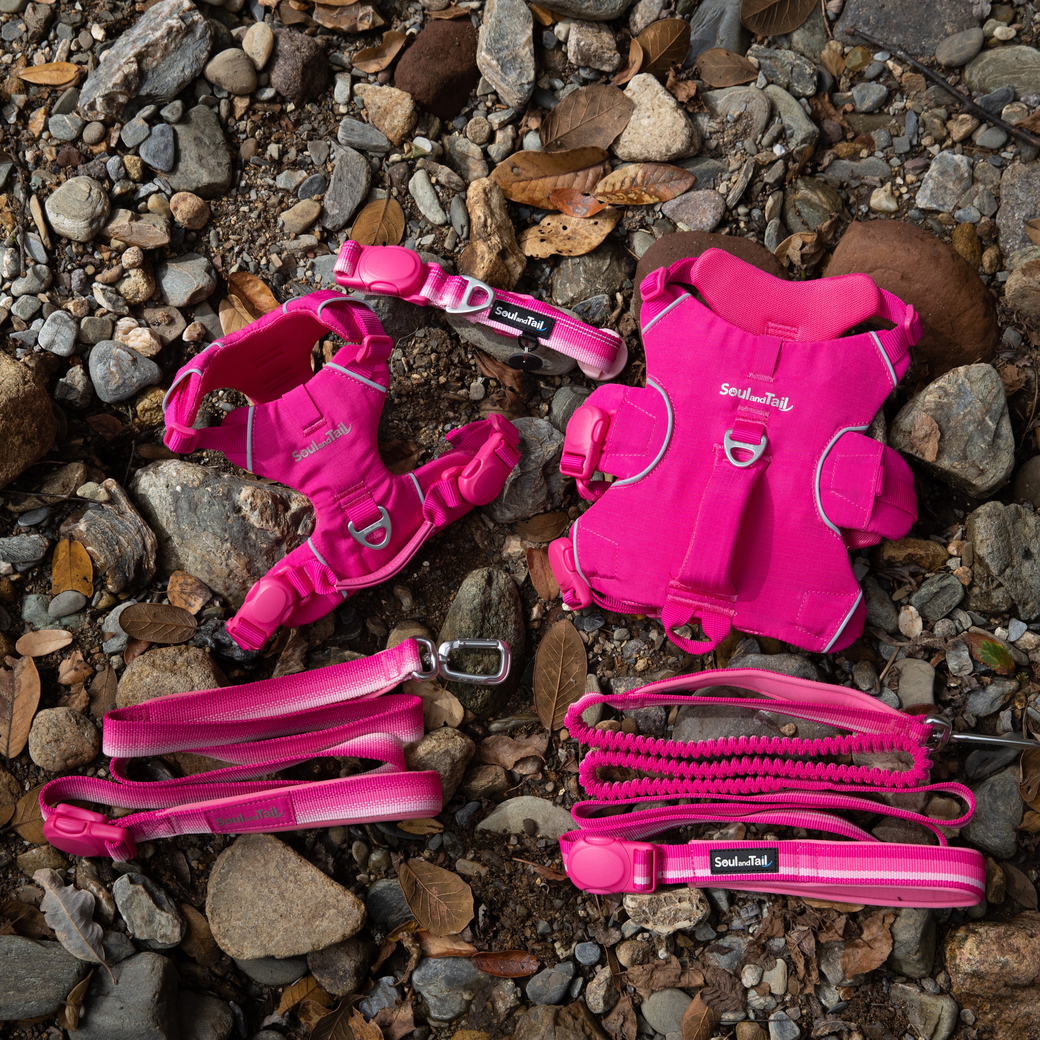 A set of pink Soul and Tail dog gears including a collar, two harnesses, and two leashes on a rocky surface