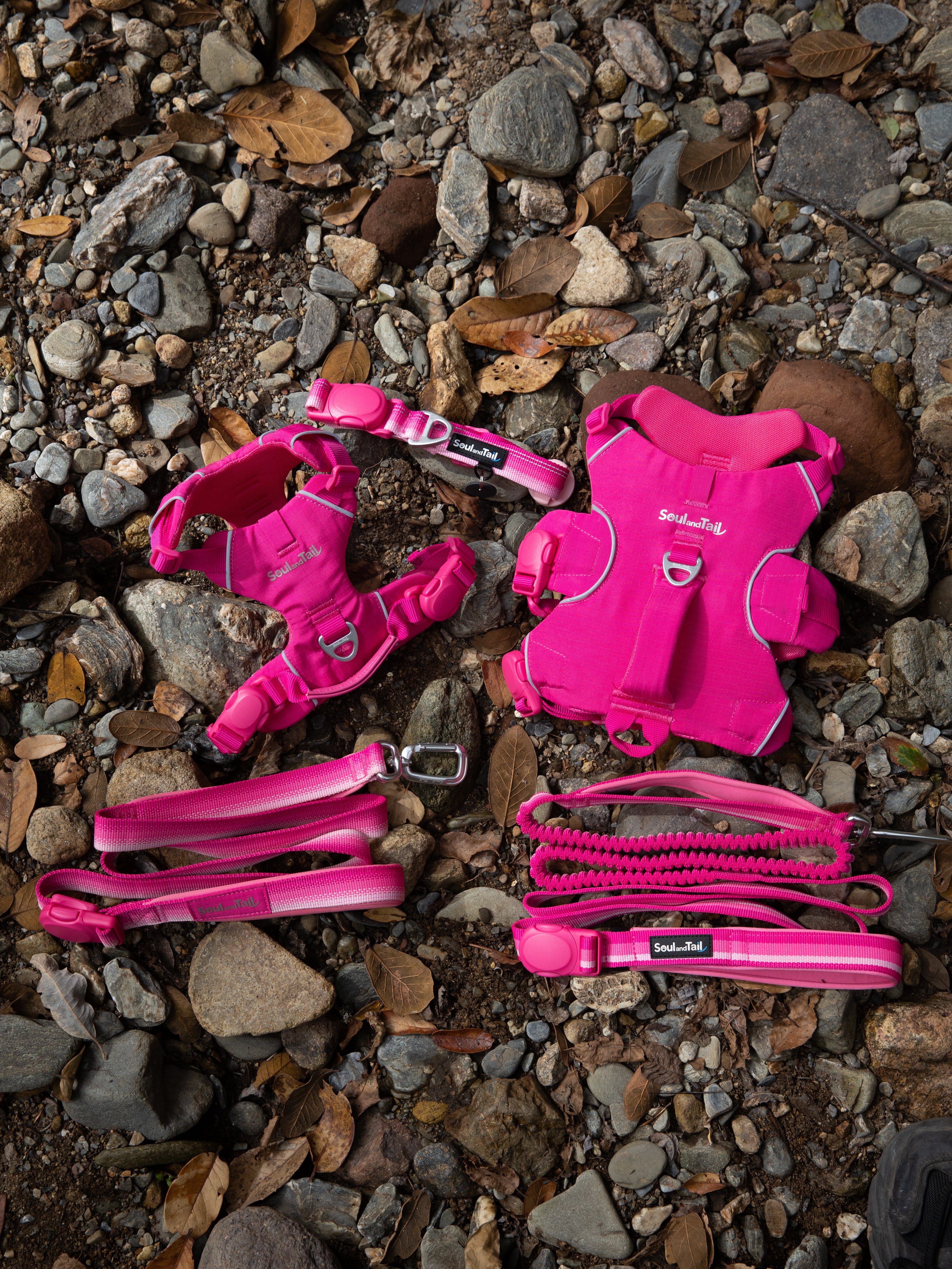 A set of pink Soul and Tail dog gears including a collar, two harnesses, and two leashes on a rocky surface