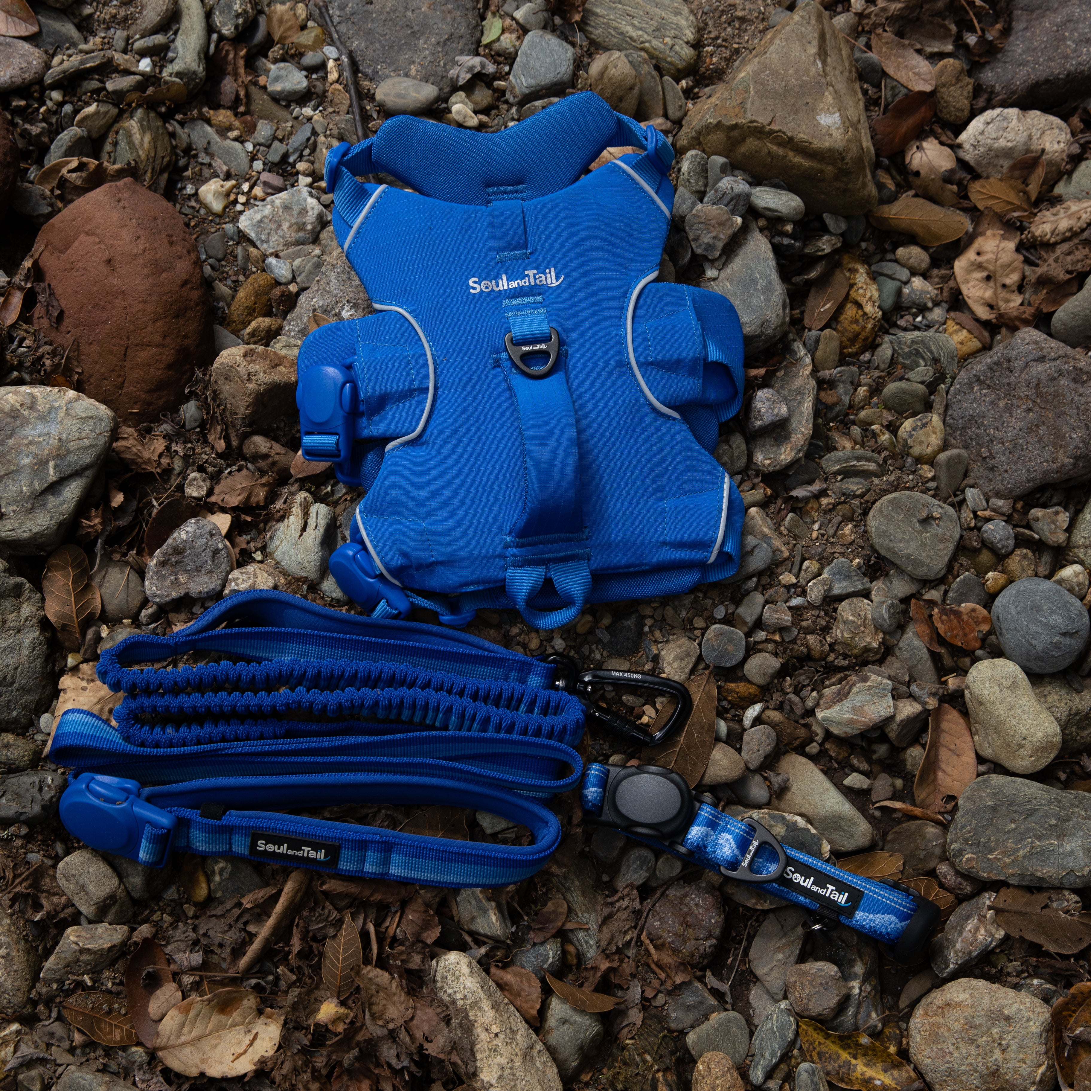 A set of blue Soul and Tail dog gears including a collar, a harness, and a leash on a rocky surface