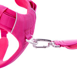 Daily Roam Dog Harness