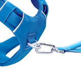 Daily Roam Dog Harness
