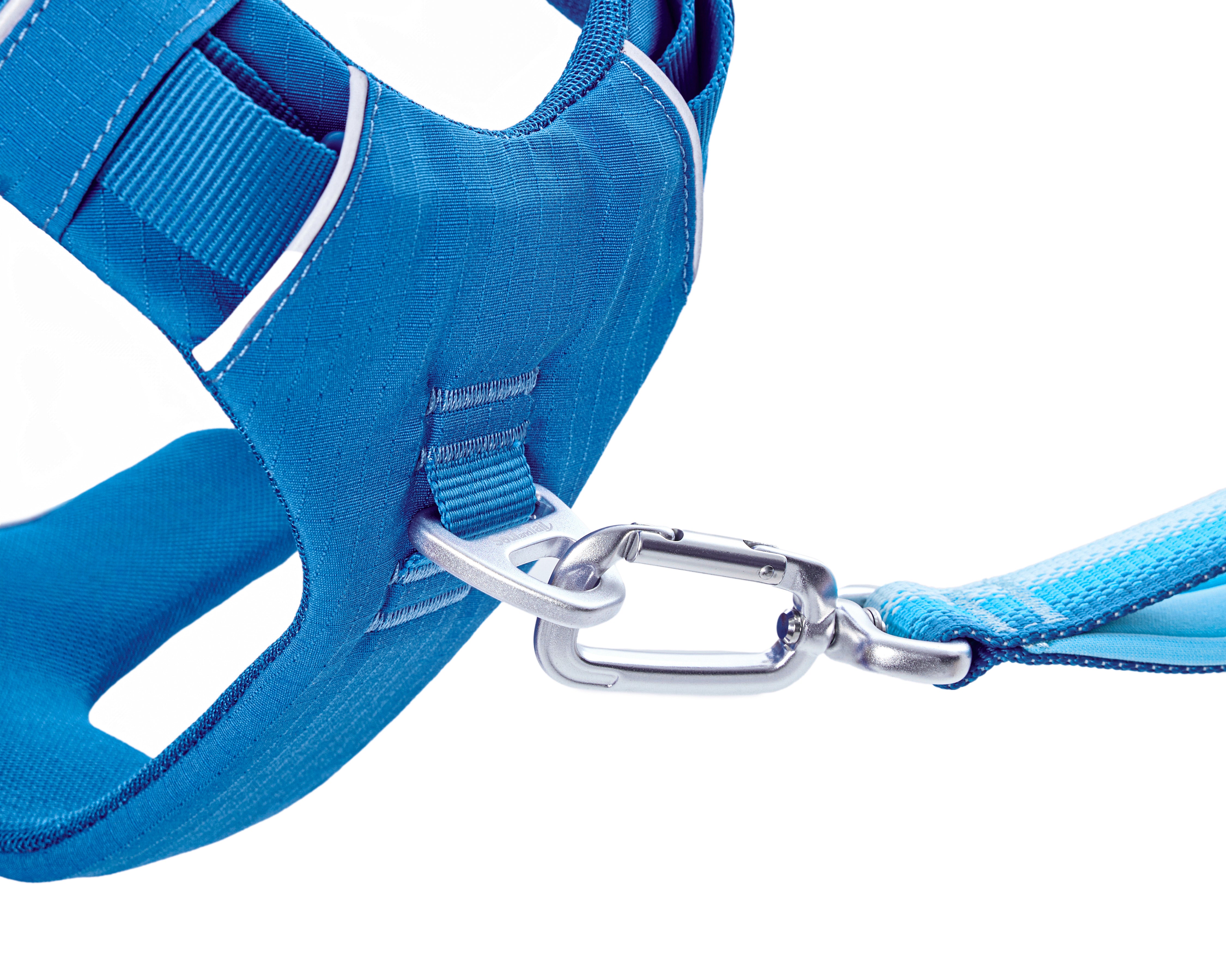 Daily Roam Dog Harness