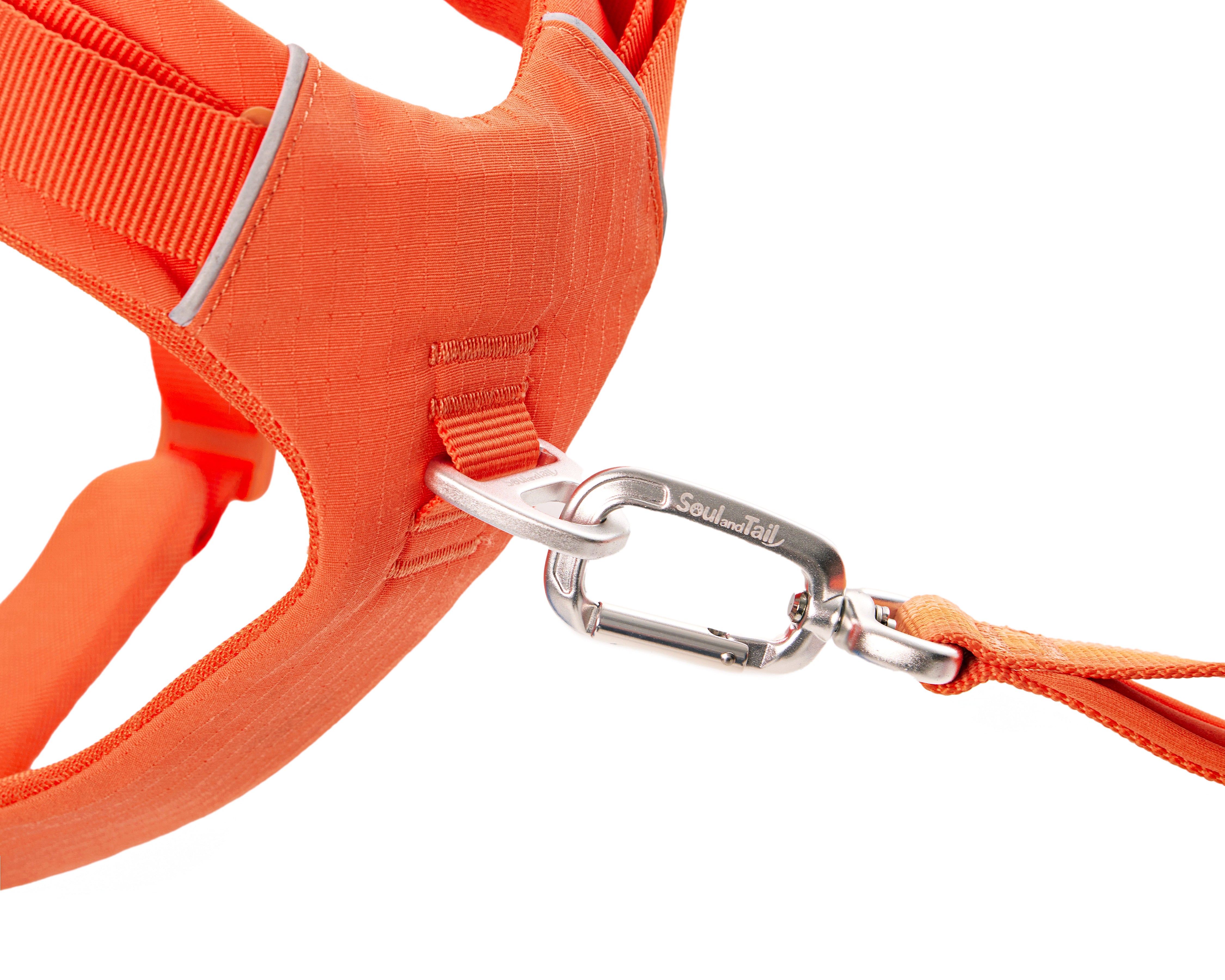 Daily Roam Dog Harness