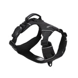 Daily Roam Dog Harness