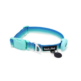 Aqua coast color dog collar with blue and green gradient on its webbing, integrated with a black tag silencer, aluminum ring, silicon airtag holder, assembled by an mint green magnetic buckle on a white background