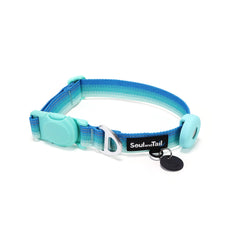 Aqua coast color dog collar with blue and green gradient on its webbing, integrated with a black tag silencer, aluminum ring, silicon airtag holder, assembled by an mint green magnetic buckle on a white background