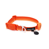 Orange dog collar with a black tag silencer, aluminum ring, silicon airtag holder, assembled by an orange magnetic buckle on a white background