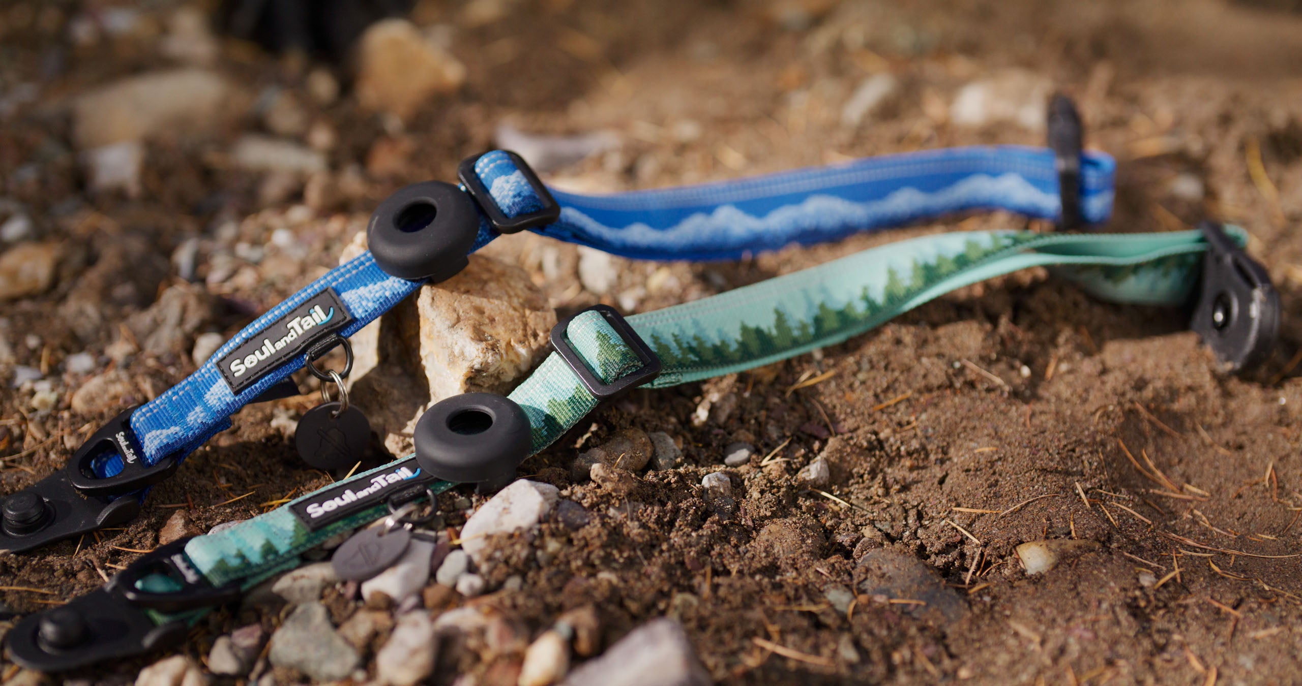 Two dog leashes, one blue and one green with black ends, on a rocky ground.
