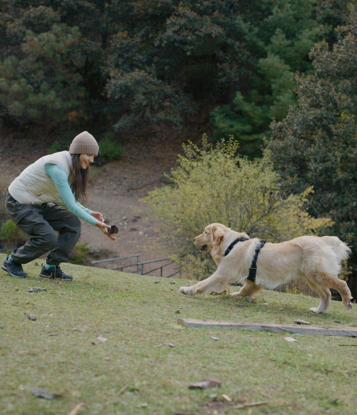 Woman playing fetch with a dog in a forested area, with the dog wearing a black harness running towards the woman