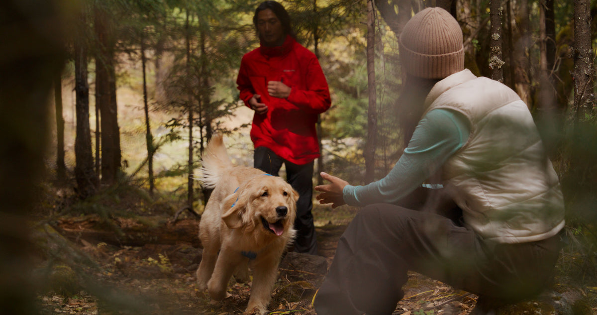 Two people and a dog in a forest setting