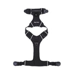 Black dog harness lying flat on a white background