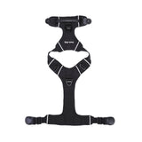 Black dog harness lying flat on a white background