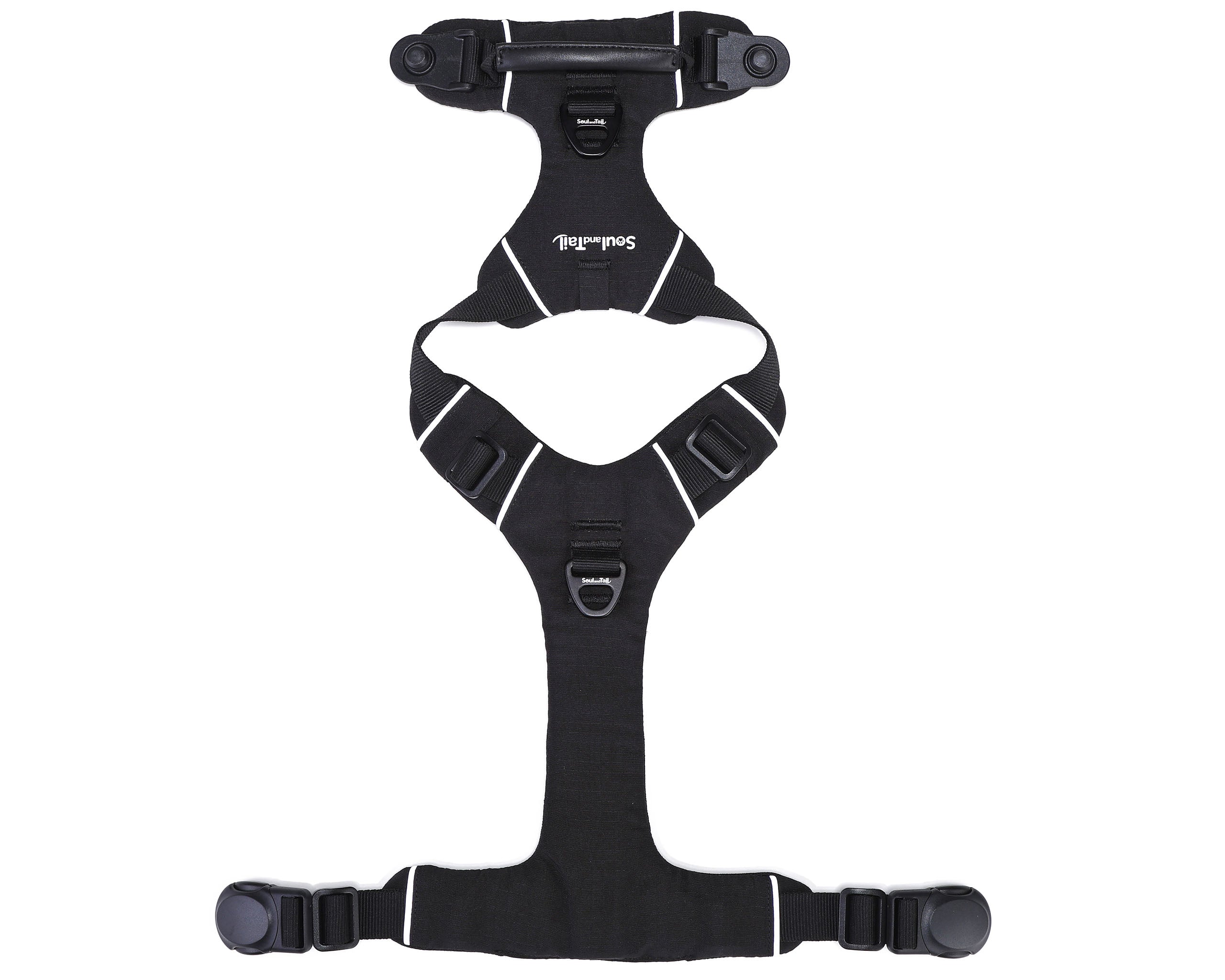 Black dog harness lying flat on a white background