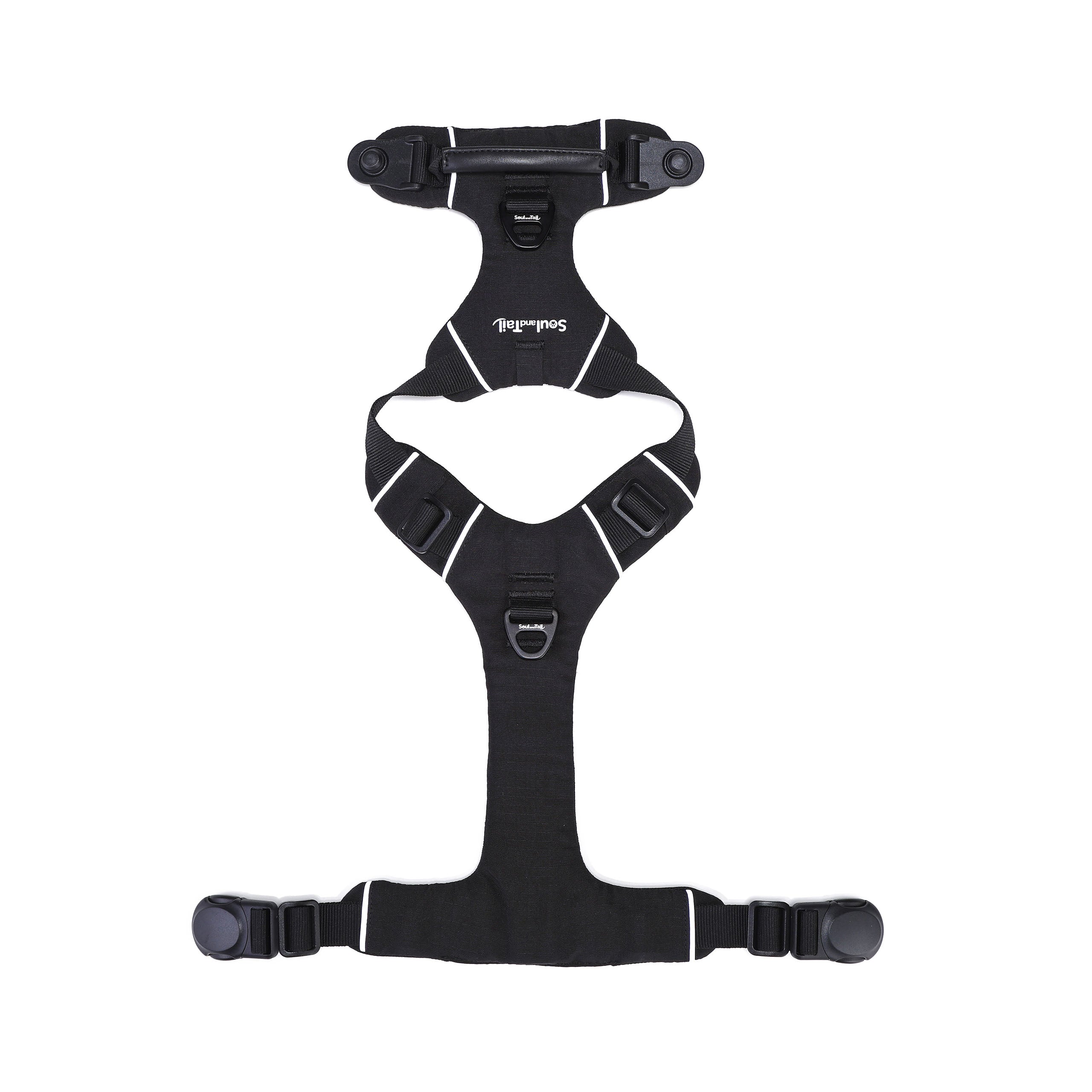 Black dog harness lying flat on a white background