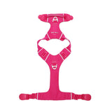 Pink dog harness lying flat on a white background