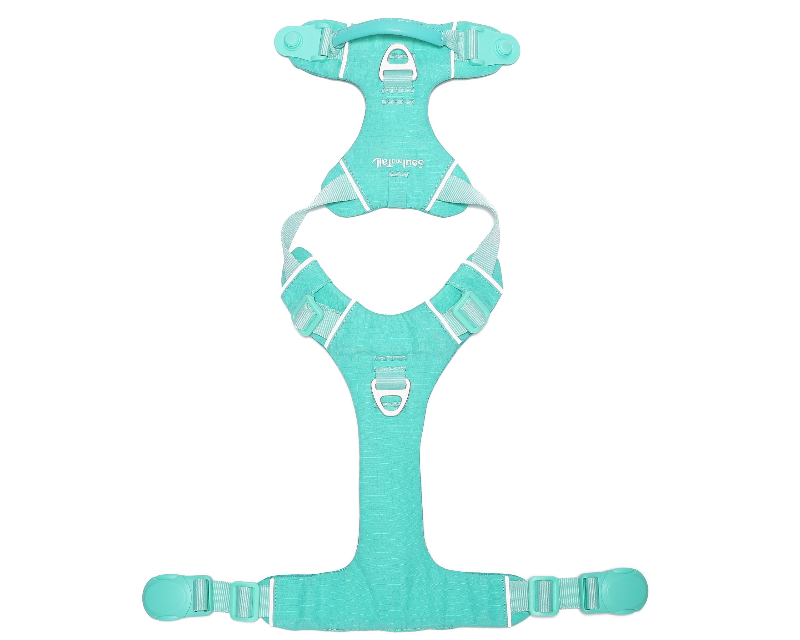 Turquoise dog harness with its magnetic buckle fully opened lying a white background