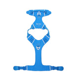Blue dog harness, with its magnetic buckle fully opened, lying flat on a white background