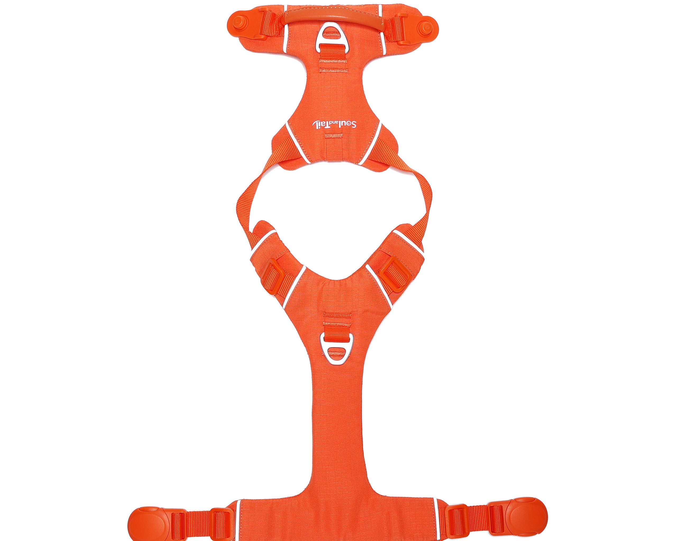 Orange dog harness lying flat on a white background