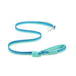 Aqua coast color dog leash with an aluminum clip and a mint green color magnetic buckle on a white background