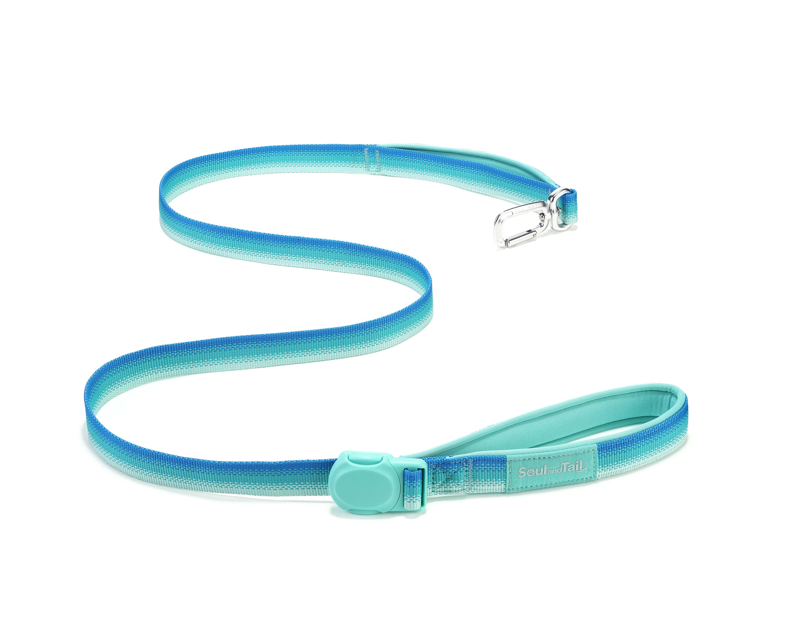 Aqua coast color dog leash with an aluminum clip and a mint green color magnetic buckle on a white background