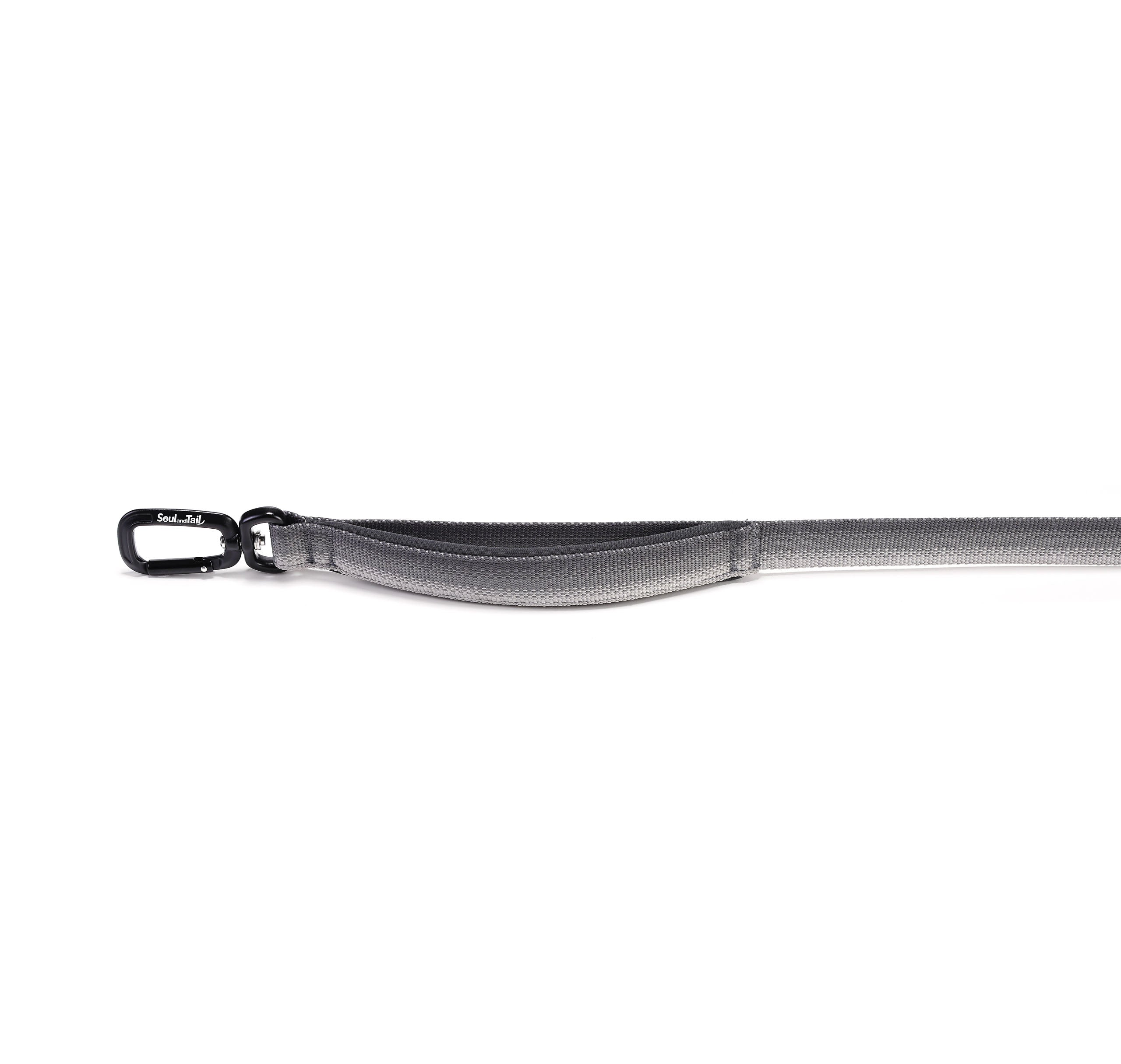 Gray dog leash with a black clip & padded handle on a white background