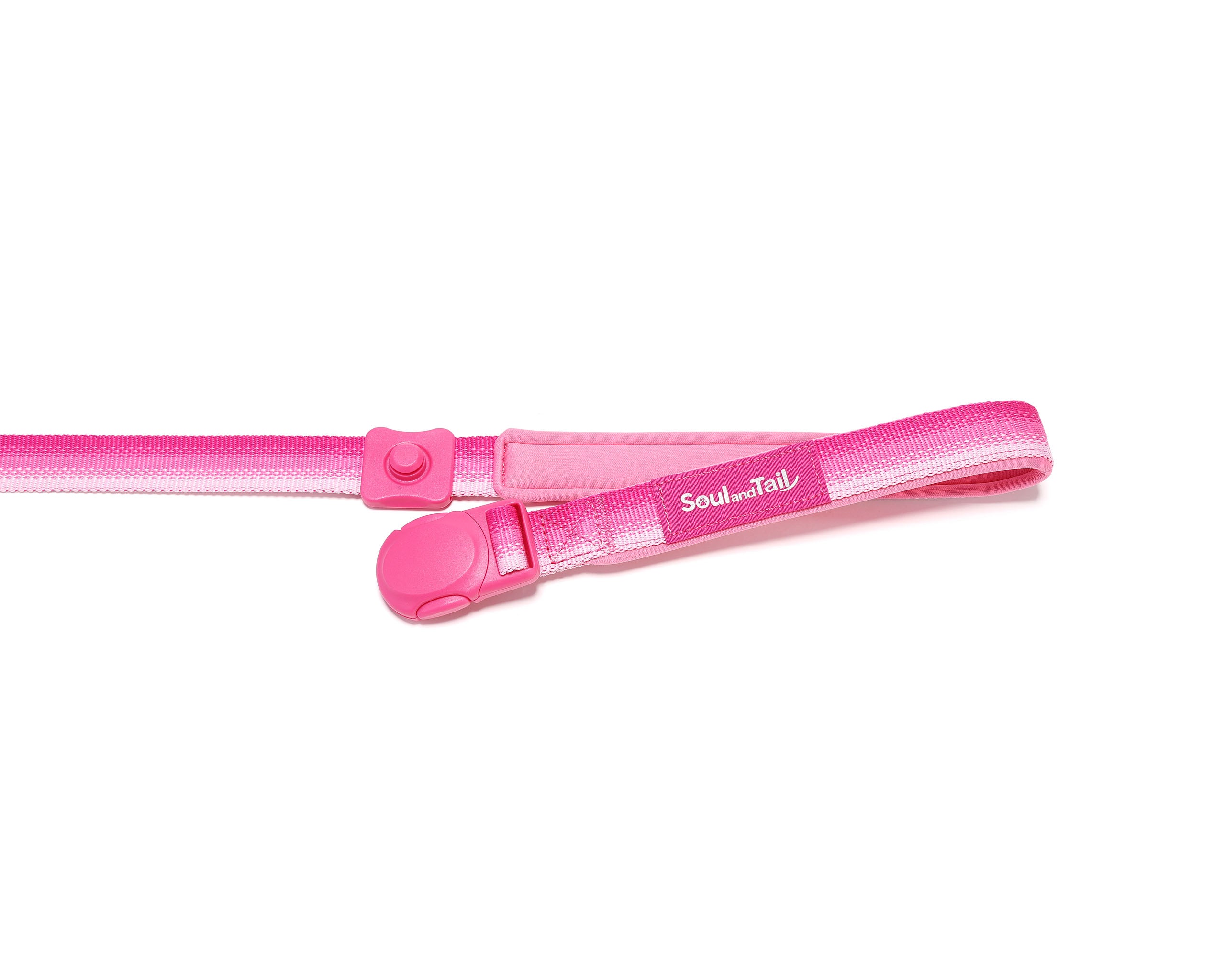 Pink dog leash with a pink magnetic buckle, opened, on a white background