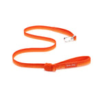 Orange dog leash with a silver clip and an orange magnetic buckle on a white background
