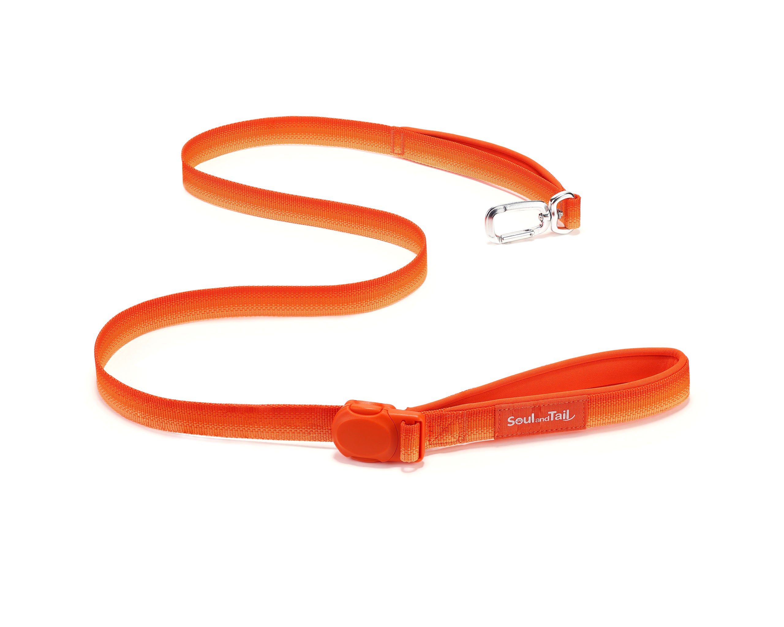 Orange dog leash with a silver clip and an orange magnetic buckle on a white background