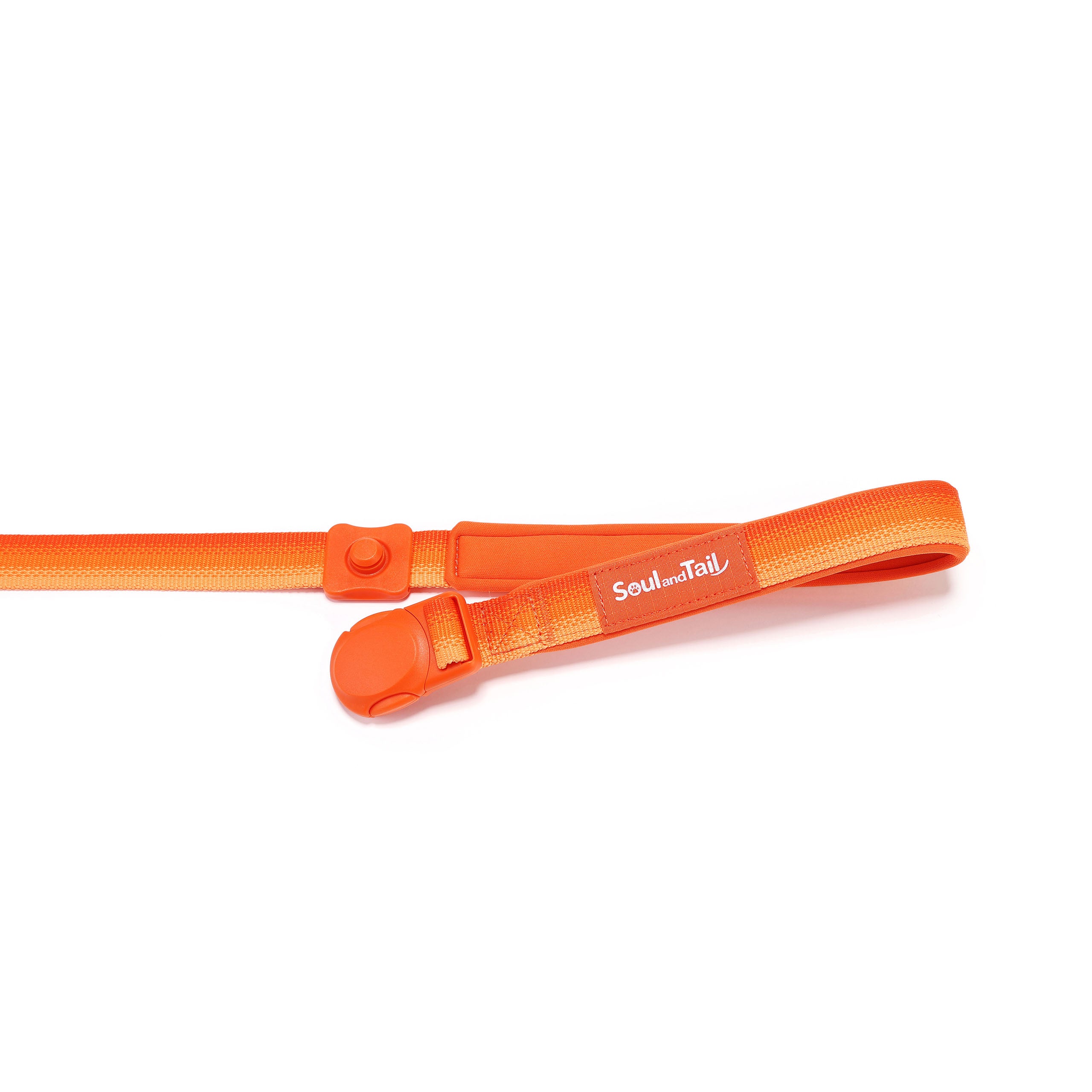 Orange dog leash with a brand logo "Soul and Tail" and an opened orange magnetic buckle on a white background