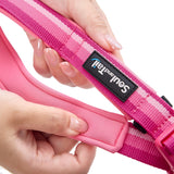 Trail Dash Dog Leash