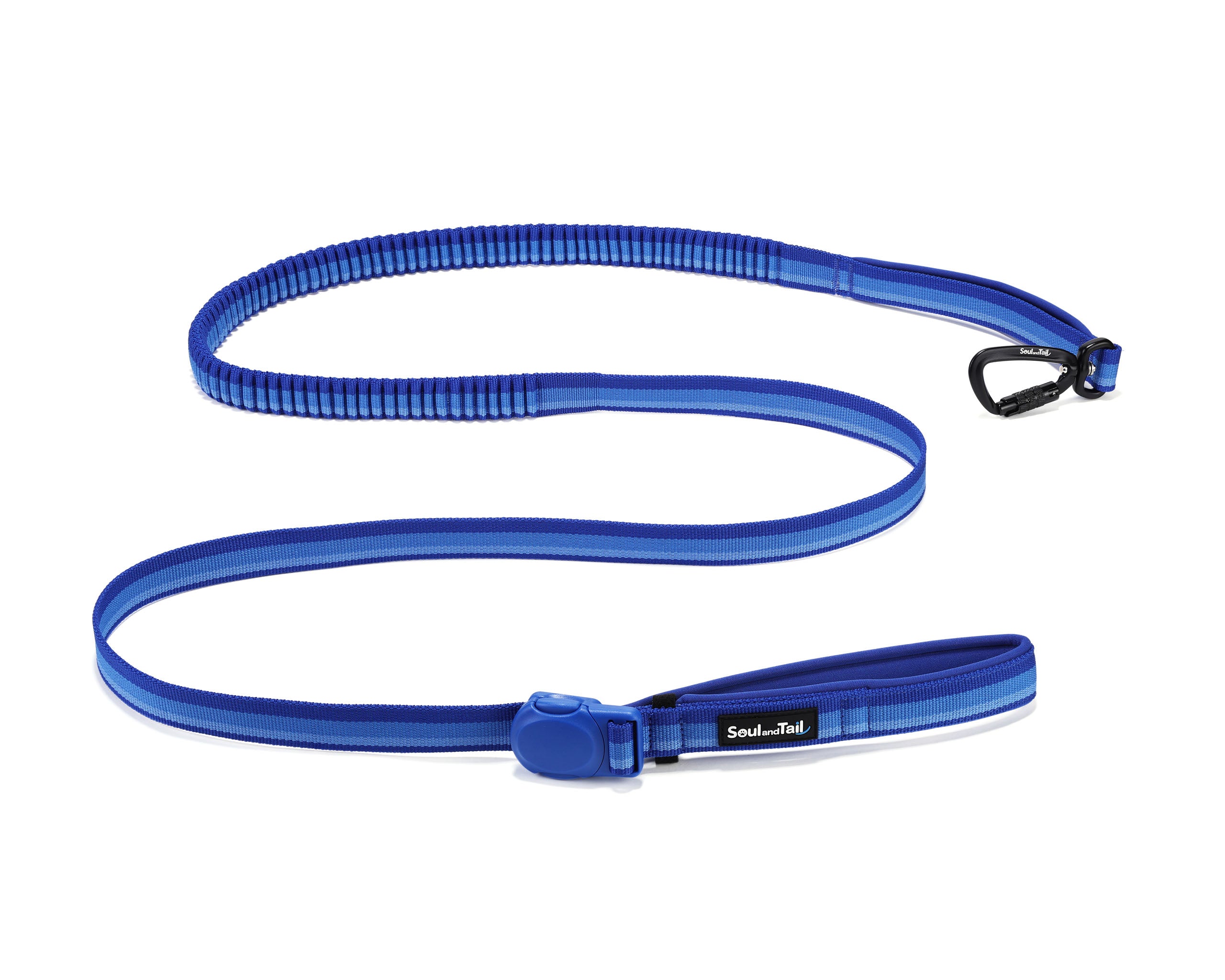 Blue dog leash with bungee section, a black carabiner and a blue magnetic buckle on a white background