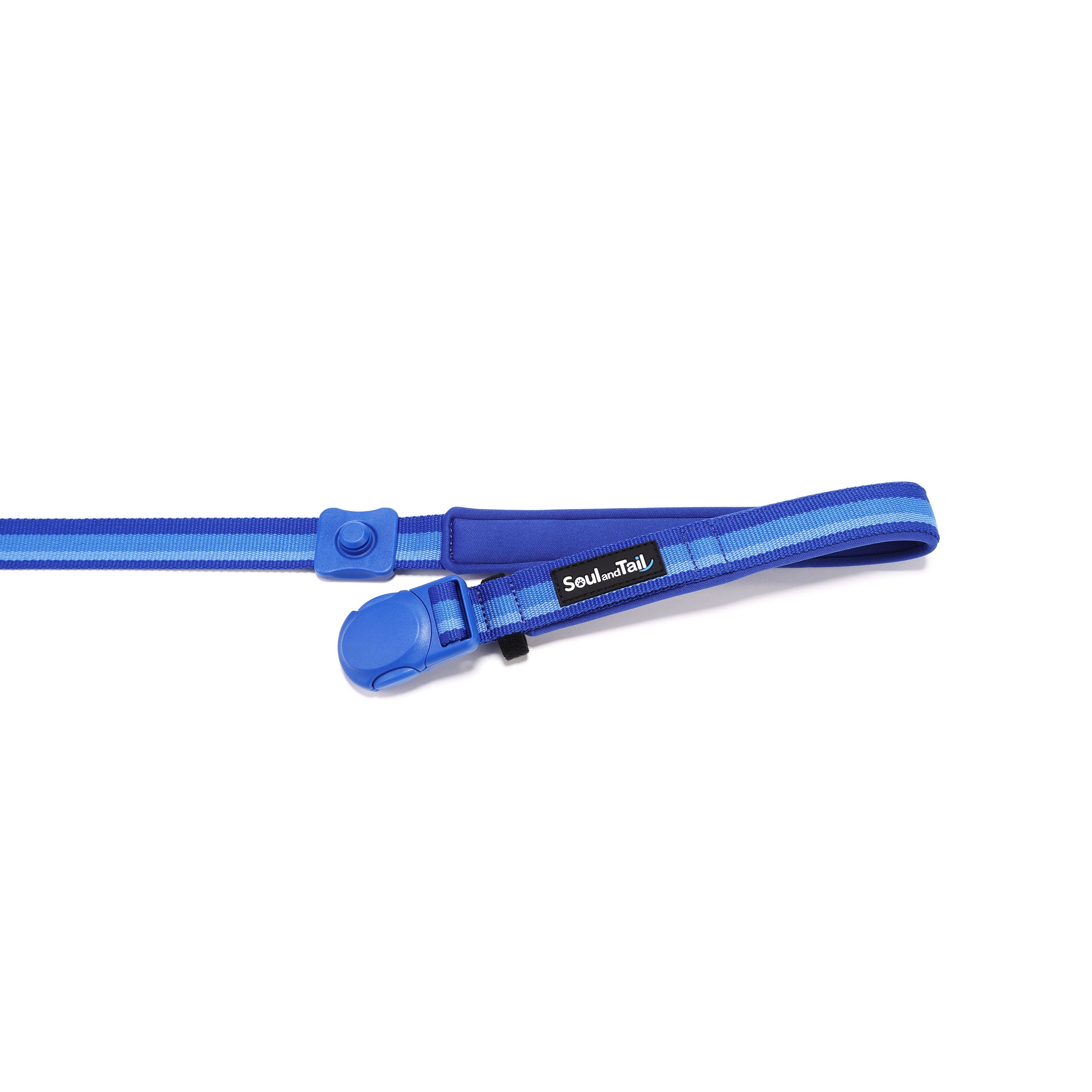 Blue dog leash with a blue magnetic buckle opened on a white background
