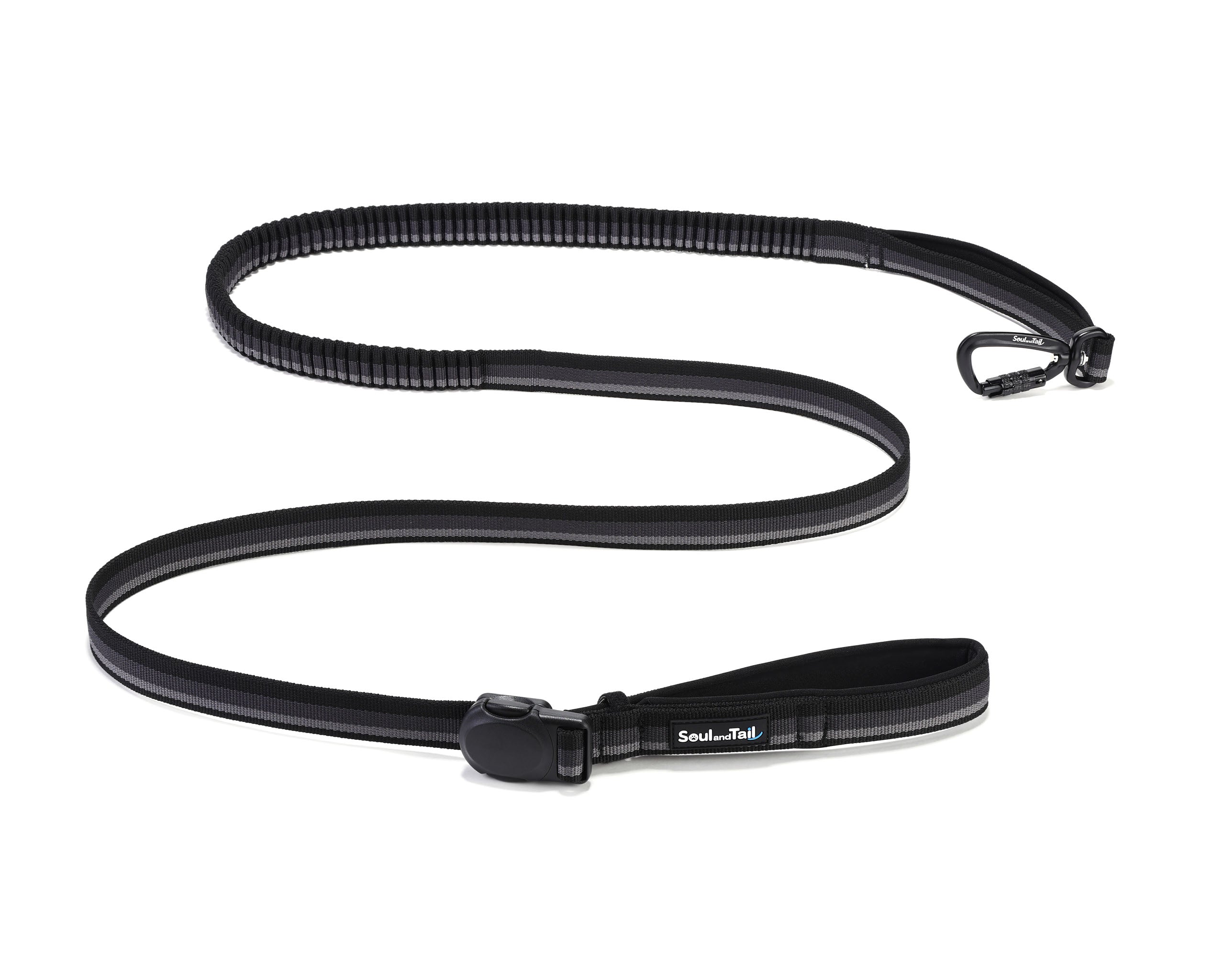 Black dog leash with bungee section, black carabiner, black magnetic buckle on  a white background.