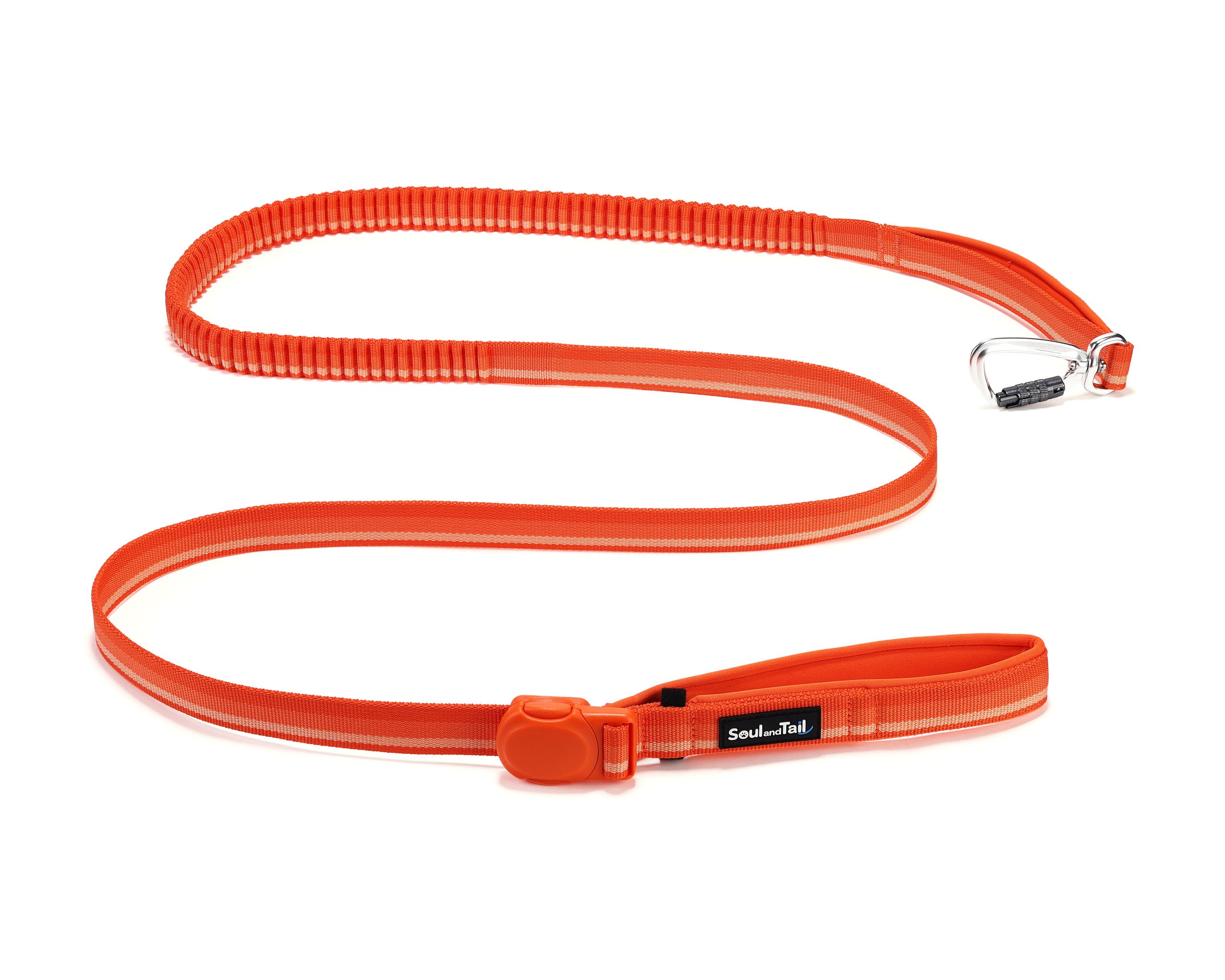 Orange dog leash with a aluminum carabiner on a white background