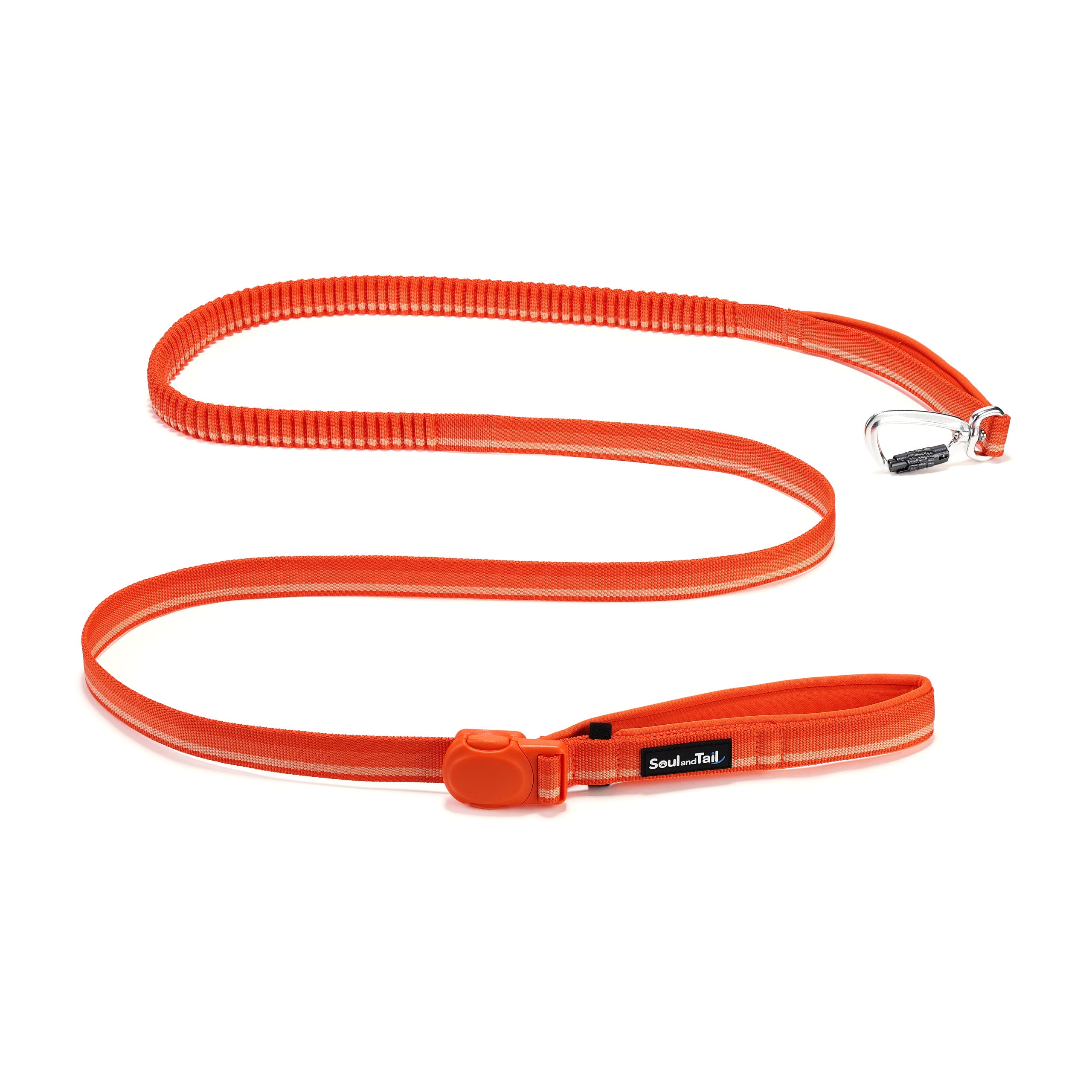 Orange dog leash with a aluminum carabiner on a white background