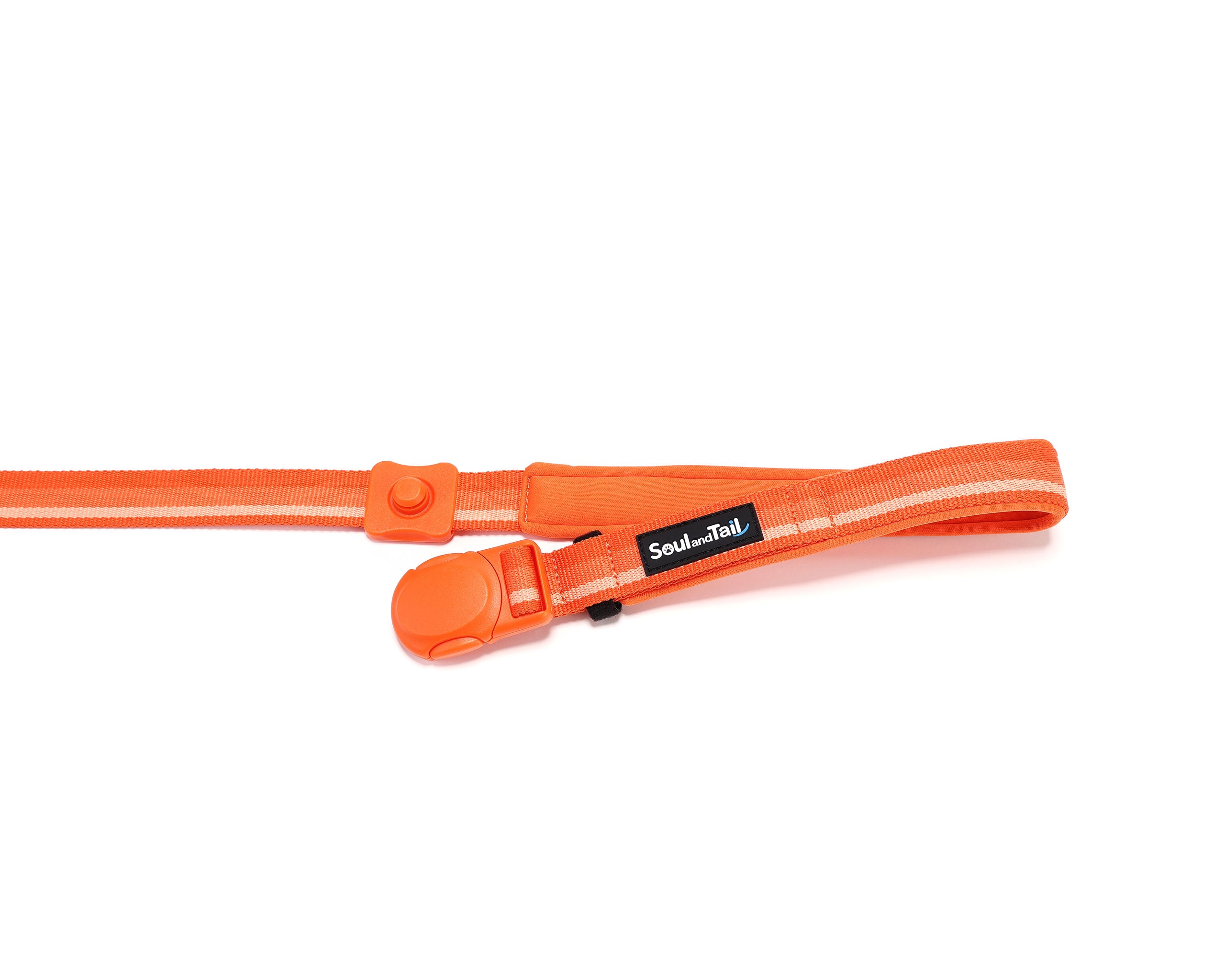 Orange dog leash with a brand label Soul and Tail, opened magnetic buckle, on a white background