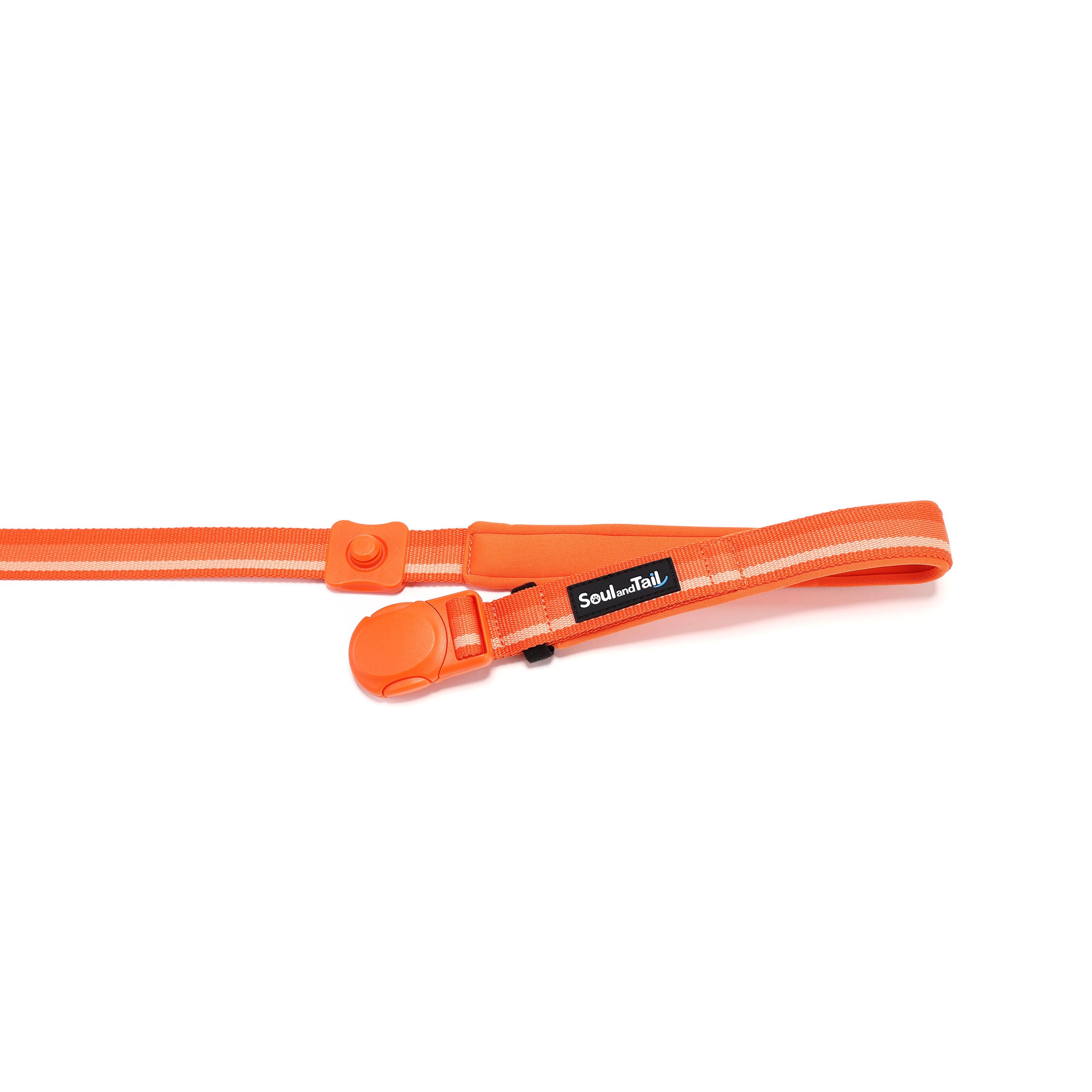 Orange dog leash with a brand label Soul and Tail, opened magnetic buckle, on a white background