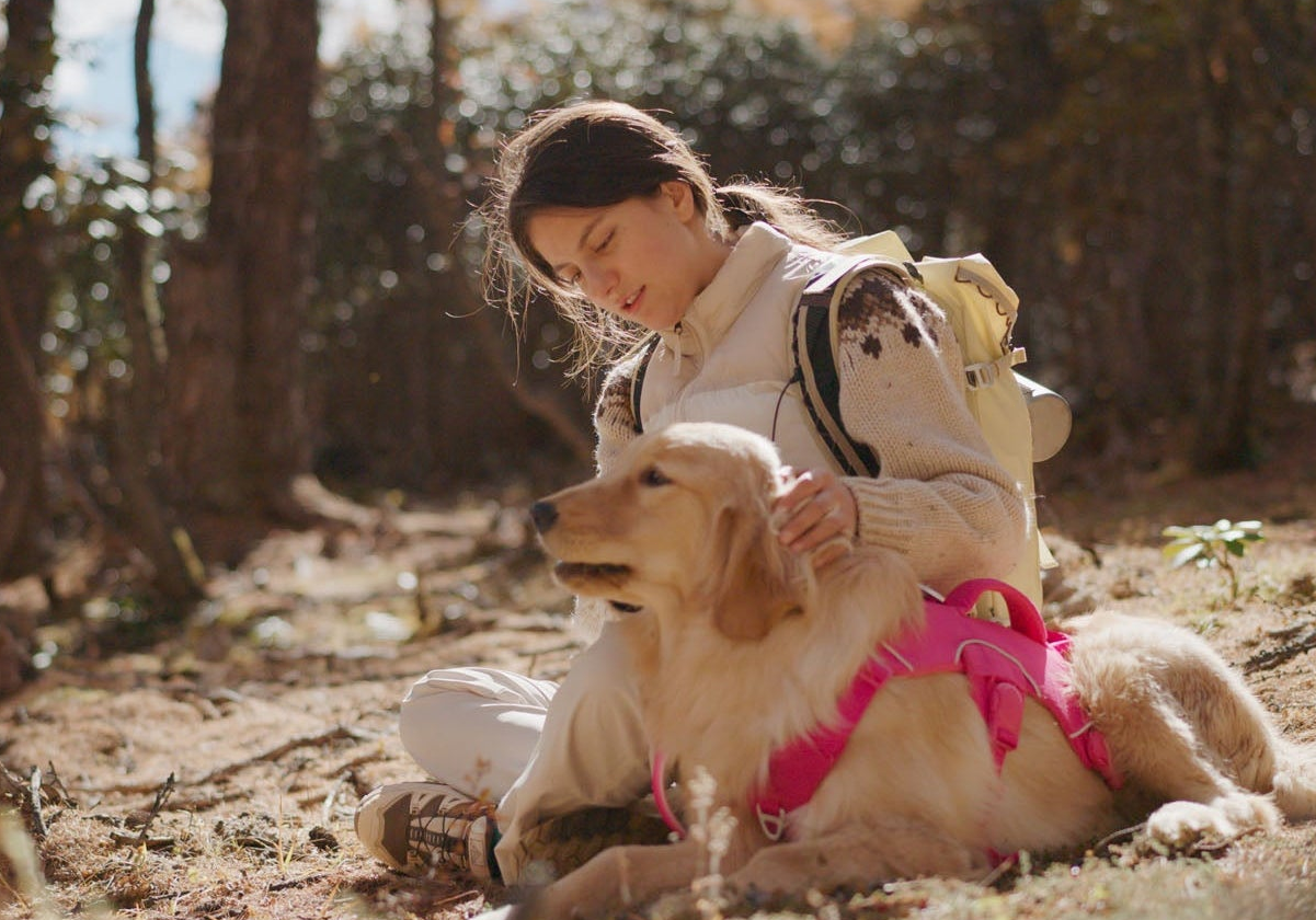 Woman sitting with a dog in a forest, her hand caress its head, the dog wearing a pink harness