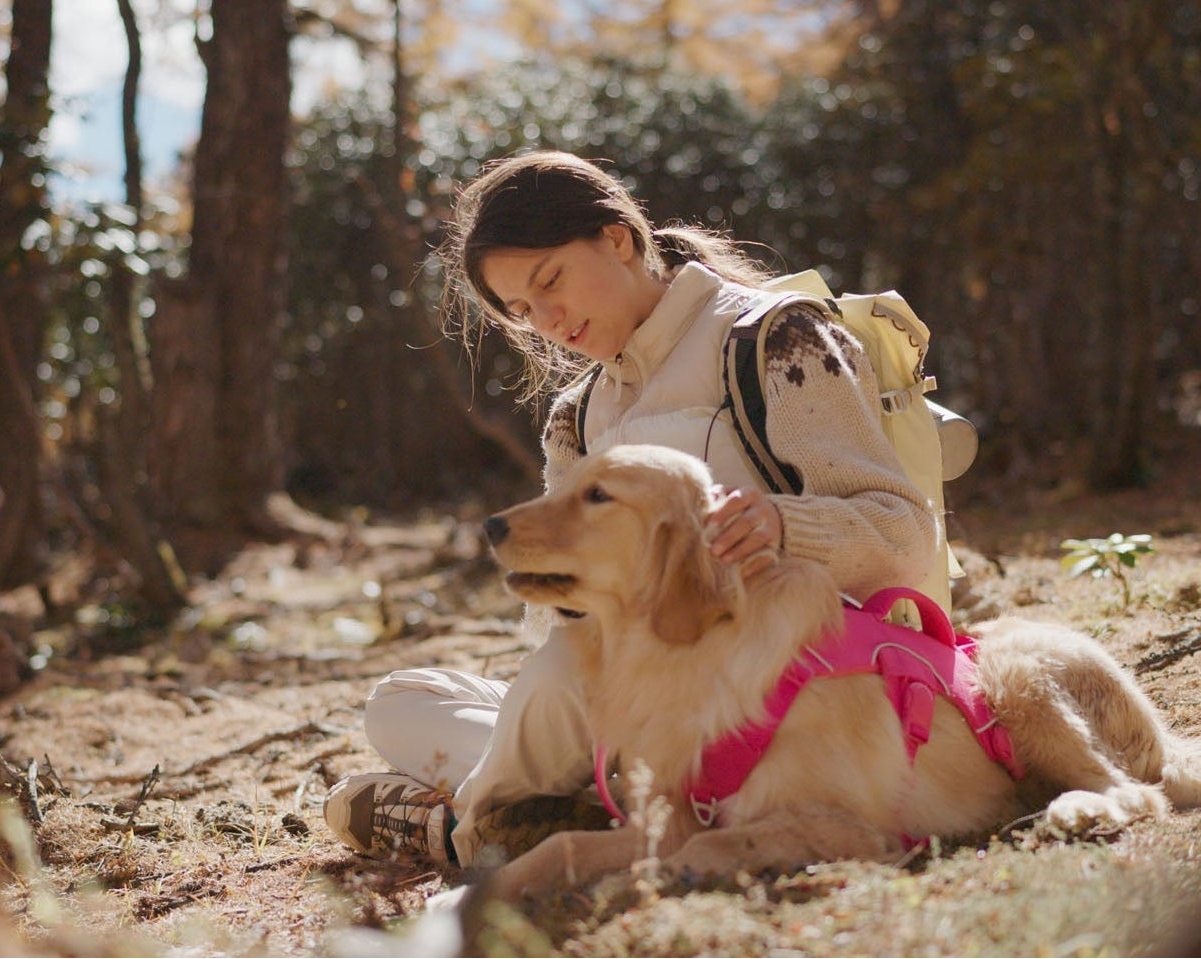 Woman sitting with a dog in a forest, her hand caress its head, the dog wearing a pink harness