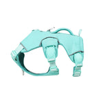 Mint green dog harness on a white background