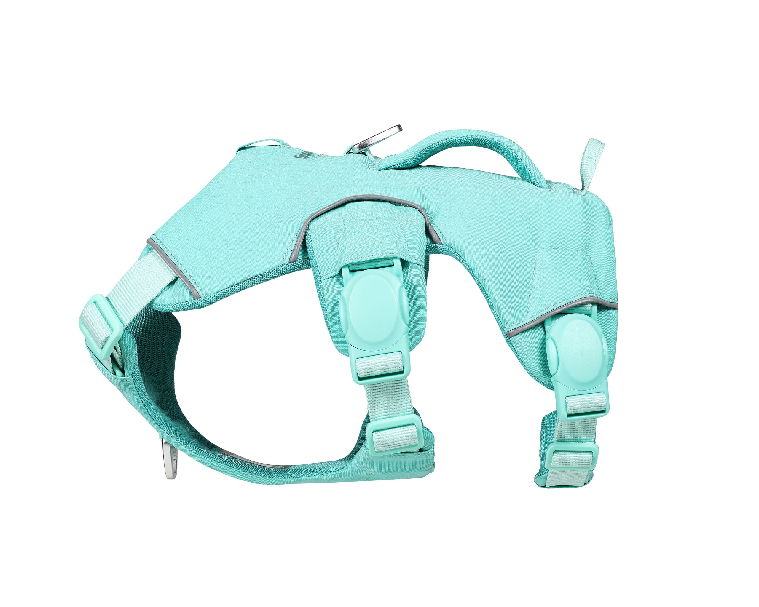 Mint green dog harness on a white background